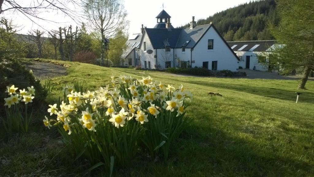 Stronavaich Cairngorm Guest House 托明陶尔 外观 照片